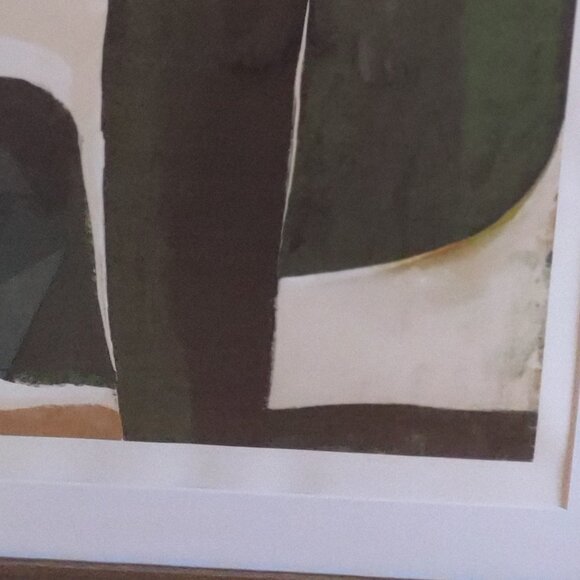 Framed Cactus Print by Marco Marella 19.6" x 27.5" - Picture 6 of 12